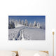 Trail Wall Decal Design 2