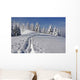 Trail Wall Mural