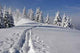 Trail Wall Decal Design 2