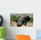 Everglades - Miami - Alligator Wall Mural