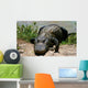 Everglades - Miami - Alligator Wall Mural