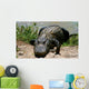 Everglades - Miami - Alligator Wall Mural