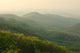 Landscape Wall Decal Design 1
