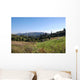 Carpate Wall Mural