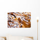 Yummy Rolls Wall Mural