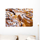 Yummy Rolls Wall Mural
