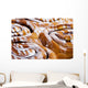 Yummy Rolls Wall Mural