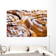 Yummy Rolls Wall Mural