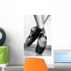Ballet Shoes Wall Mural
