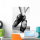 Ballet Shoes Wall Mural