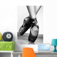 Ballet Shoes Wall Mural
