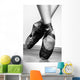 Ballet Shoes Wall Mural