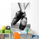 Ballet Shoes Wall Mural