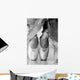 Ballet Shoes Wall Mural