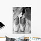 Ballet Shoes Wall Mural