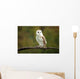 Barn Owl Wall Mural