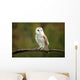Barn Owl Wall Mural