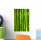 Bamboo Forest Wall Mural