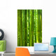 Bamboo Forest Wall Mural