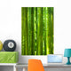 Bamboo Forest Wall Mural