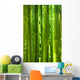 Bamboo Forest Wall Mural
