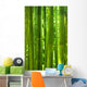 Bamboo Forest Wall Mural