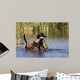 Duck Hunting Lab
