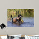Duck Hunting Lab