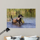 Duck Hunting Lab