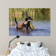 Duck Hunting Lab
