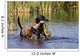 Duck Hunting Lab