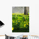 Daffodils in St. James's Park Wall Mural