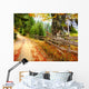 Autumn Landscape Wall Mural