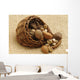 Frutta Secca Mista Wall Mural