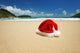 Tropical christmas Wall Mural