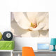 White magnolia flowers Wall Mural