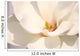 White magnolia flowers Wall Mural