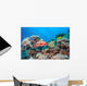 Coral Grouper Tropical Reef Wall Decal