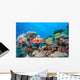 Coral Grouper Tropical Reef Wall Decal