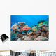 Coral Grouper Tropical Reef Wall Decal