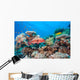 Coral Grouper Tropical Reef Wall Decal