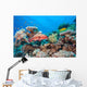 Coral Grouper Tropical Reef Wall Decal