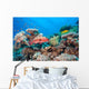 Coral Grouper Tropical Reef Wall Decal