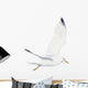 Seagull Wall Decal