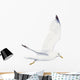 Seagull Wall Decal