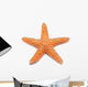 Orange Starfish Wall Decal