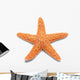 Orange Starfish Wall Decal