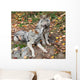 Two Gray Wolves Relaxing Wall Mural