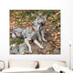 Two Gray Wolves Relaxing Wall Mural