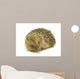 Hedgehog